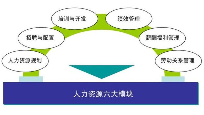 中小企业人力资源外包定制服务：优化管理，提升效率
