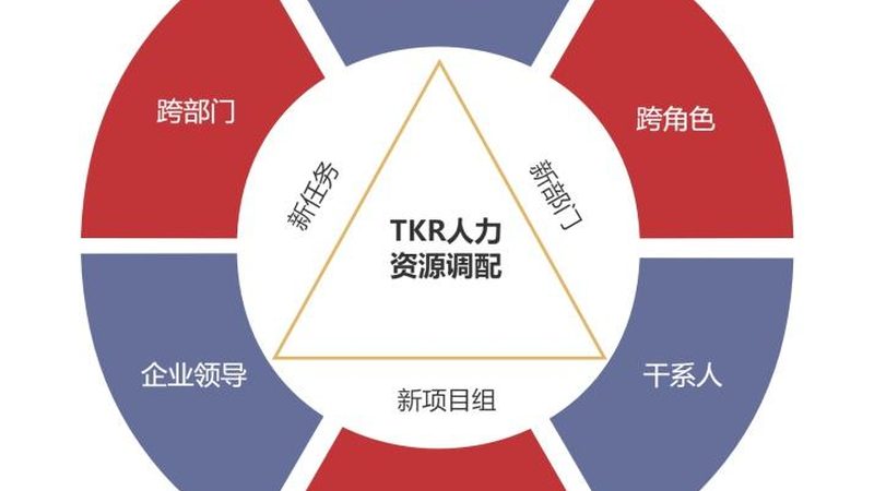 灵活用工平台税务合规哪家强